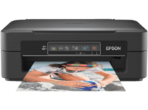 Epson Expression Home XP-247 cartridges